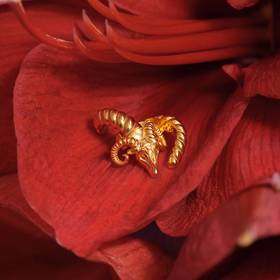Aries Ring (single)
