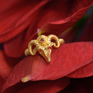 Aries Ring