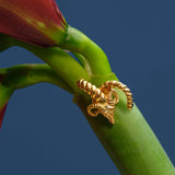Aries Ring (single)