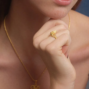 Aries Ring