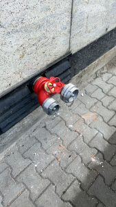 photo 2026 02 14 12 12 30 2