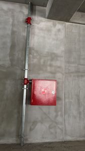 photo 2026 02 25 20 39 02