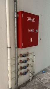 photo 2026 02 25 20 39 44