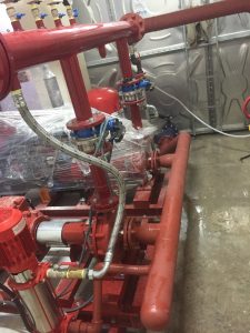 photo 2026 02 25 20 44 47 2